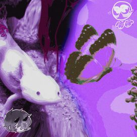 Bruxinhas (part. L3no Ms) - 2025 • Sencillo/EP
