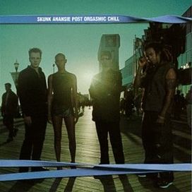 Post Orgasmic Chill - 1999 • Álbum