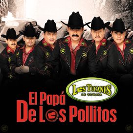 El Papa de Los Pollitos - 2007 • Álbum