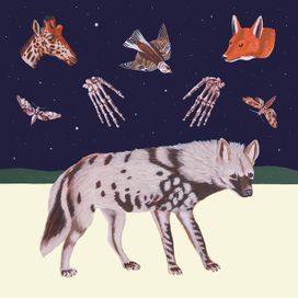 HYENA - 2023 • Álbum