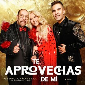 Te Aprovechas de Mí (part. Grupo Cañaveral de Humberto Pabón) - 2025 • Single/EP