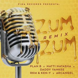 Zum Zum (remix) (part. Chencho &amp; Maldy, Daddy Yankee, Arcángel, RKM y Ken-Y) - 2018 • Single/EP