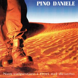 Non Calpestare I Fiori Nel Deserto - 1995 • Álbum