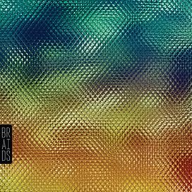 Native Speaker - 2011 • Álbum