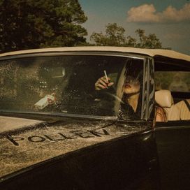 Pollen - 2024 • Álbum