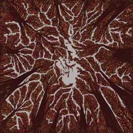 Crown Shyness - 2018 • Álbum