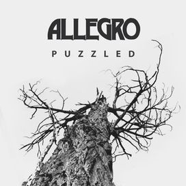 Puzzled - 2019 • Single/EP