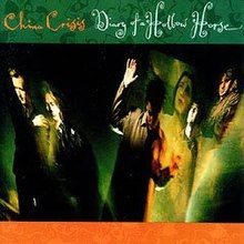 Diary Of A Hollow House - 1989 • Álbum