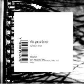 After you wake up - 2009 • Álbum