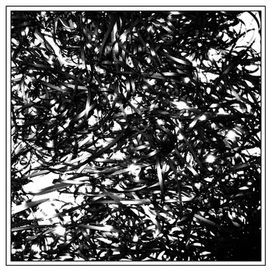 Midcity - 2013 • Álbum