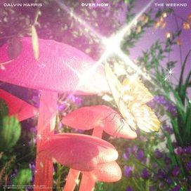 Over Now (feat. Calvin Harris) - 2020 • Single/EP