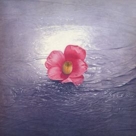Nigen Magai - Hako Yamasaki