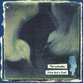 What Bird is That? - 1996 • Álbum