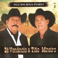 Vale Dos Beija-Flores - 2009 • Álbum
