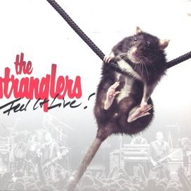 Feel It Live - 2013 • Álbum