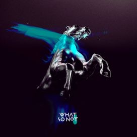 Not All the Beautiful Things - 2018 • Álbum