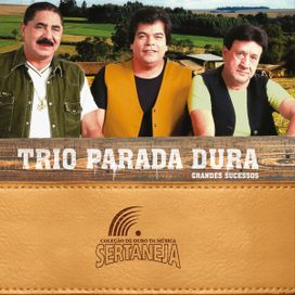 Coleção de Ouro da Música Sertaneja: Trio Parada Dura - Grandes Sucessos - 2009 • Coletânea
