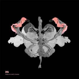Fiesta en lo del Dr. Hermes - 2021 • Single/EP
