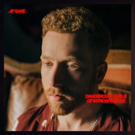 Dangerous Levels Of Introspection - 2021 • Álbum