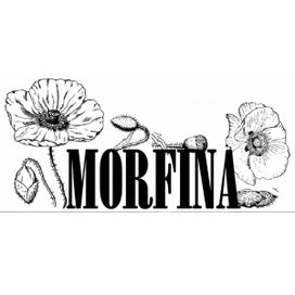 Morfina Escarlate (demo tape) - 2026 • Álbum