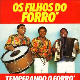 Temperando o Forró - Álbum