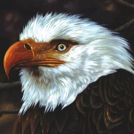 The Hawk Is Howling - 2008 • Álbum