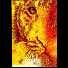 Tyger - 1987 • Álbum