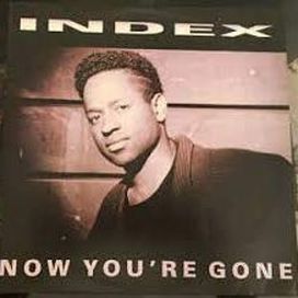 Now You're Gone - 1991 • Álbum