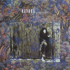 Promise Me - Nayobe