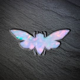 Metamorphosis - 2019 • Single/EP