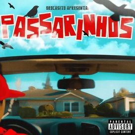 Passarinhos - 2023 • Single/EP