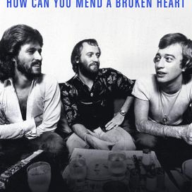 How Can You Mend a Broken Heart - 2020 • Álbum