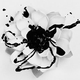 White Lotus - 2011 • Álbum