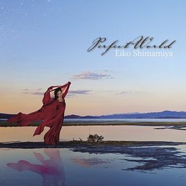 Perfect World - 2010 • Álbum