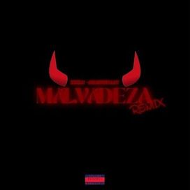 MALVADEZA (remix) (part. Ararunaay) - 2026 • Single/EP