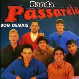 Bom Demais - 2001 • Álbum