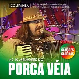 AS 10 MELHORES DO PORCA VÉIA - 2025 • Coletânea