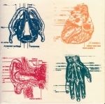 Vena Cava - 2002 • Álbum