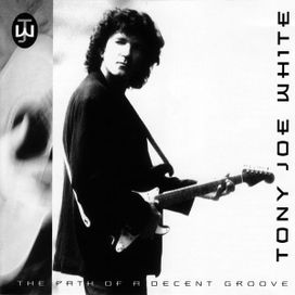 The Path Of A Decent Groove - 1993 • Álbum