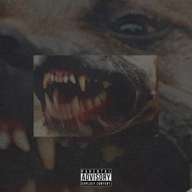 Artigo de Luxo - 2021 • Single/EP