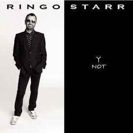Y Not - 2010 • Álbum
