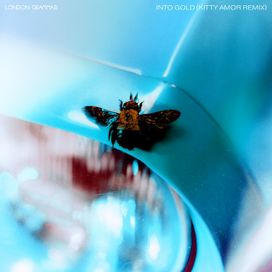 Into Gold (Kitty Amor Remix) - 2024 • Single/EP