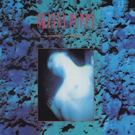 Mind: The Perpetual Intercourse - 1986 • Álbum