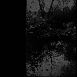 To despair of... - 2014 • Sencillo/EP
