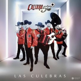 Las Culebras - 2024 • Álbum