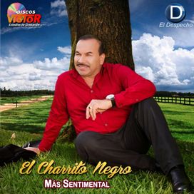 Más Sentimental - 2014 • Álbum
