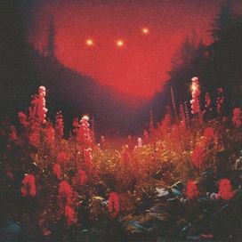 SUPERBLOOM - 2023 • Álbum