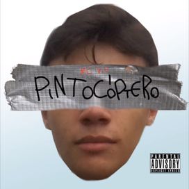 PINTOCÓPTERO - 2013 • Álbum