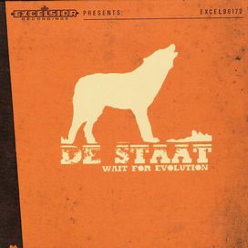 Wait For Evolution - De Staat