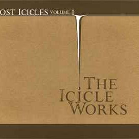 Lost Icicles - Volume 1 - 2008 • Álbum